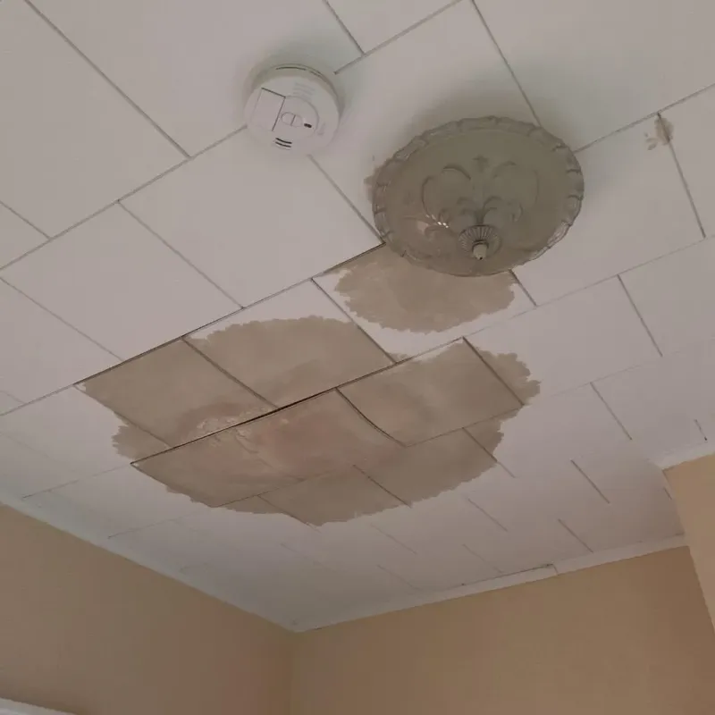 Ceiling Water Damage Repair in Atascocita, TX